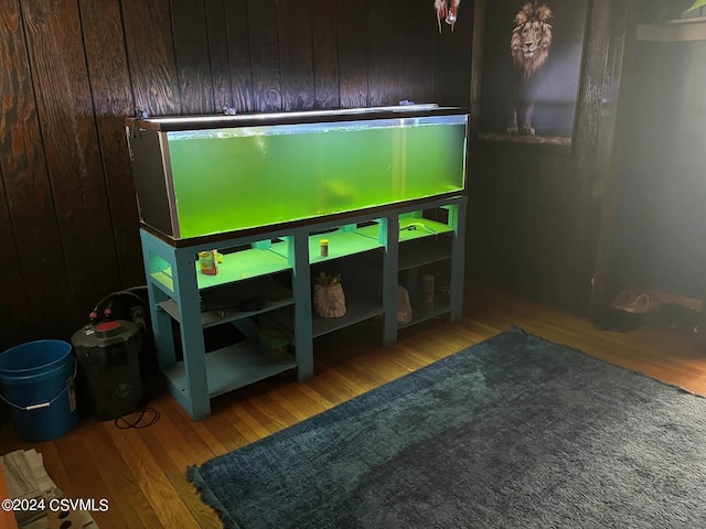 playroom featuring light hardwood / wood-style floors