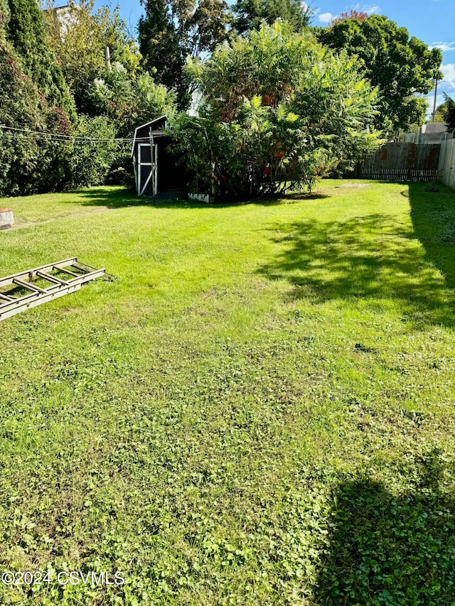 view of yard featuring a storage unit