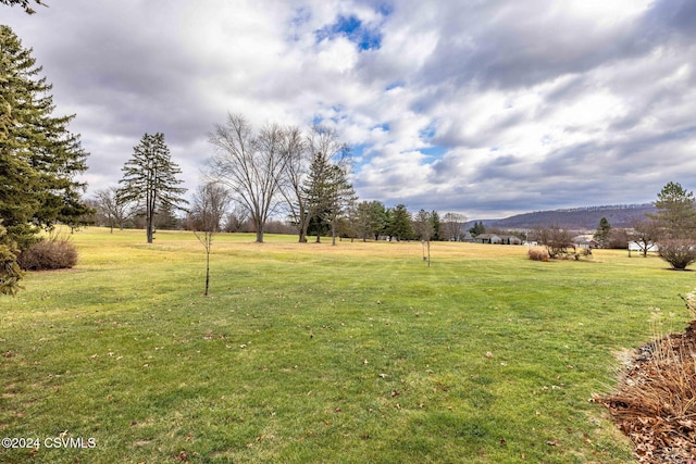 view of yard featuring a mountain view and a rural view