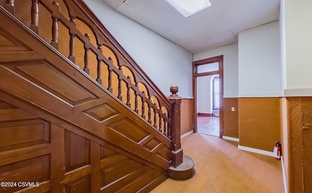 stairway featuring carpet flooring