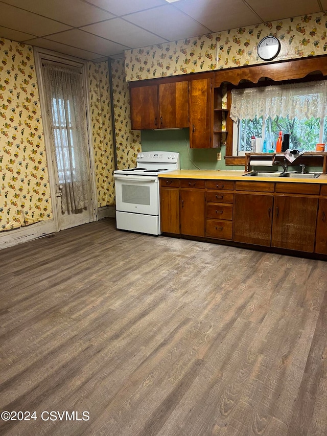 kitchen featuring sink, white electric range oven, a drop ceiling, and wood-type flooring