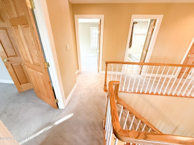 stairway with carpet flooring