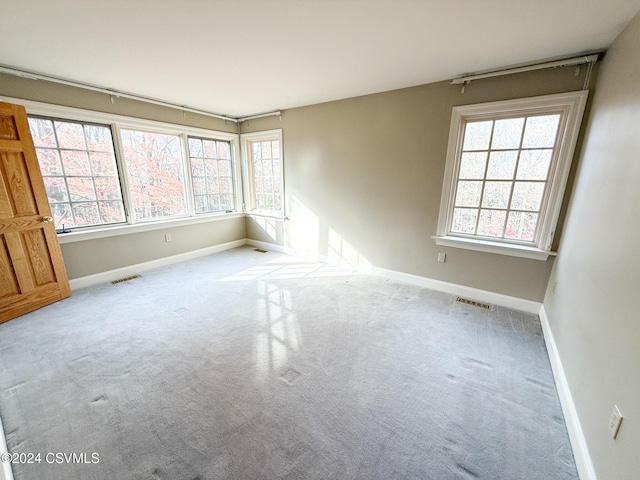 spare room featuring light carpet and plenty of natural light