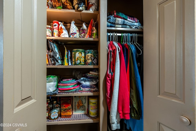 view of closet