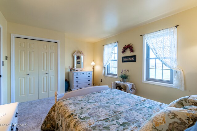 bedroom with carpet floors and a closet