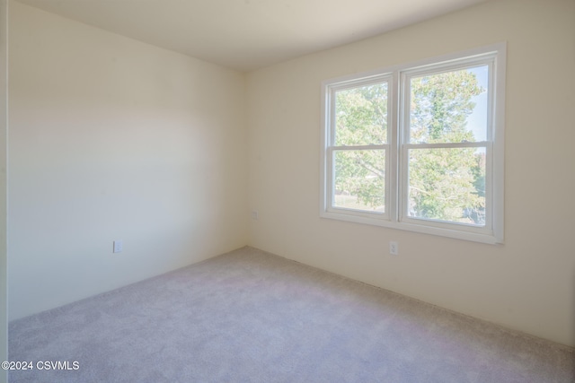 empty room featuring carpet floors