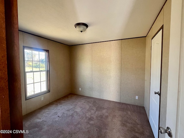 empty room with a textured ceiling and carpet floors