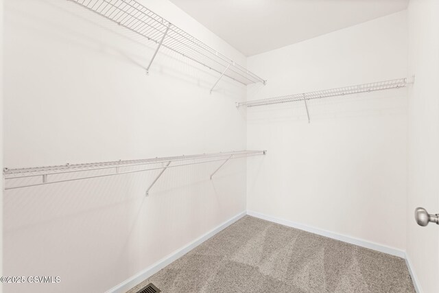 spacious closet featuring carpet flooring