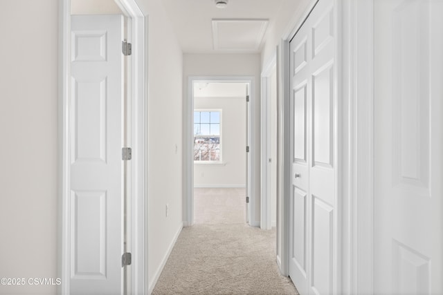 hallway with light colored carpet