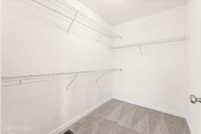 walk in closet featuring carpet floors