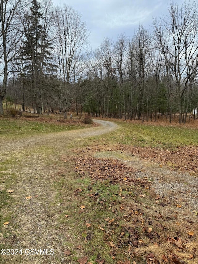 view of road