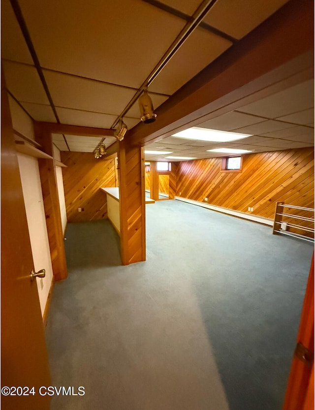 basement featuring wood walls and carpet flooring