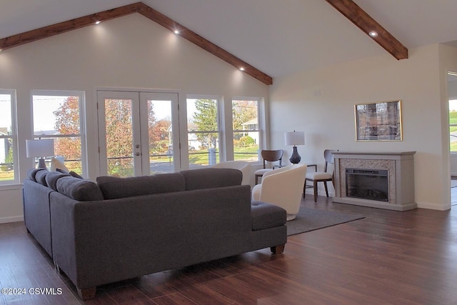 living room with beam ceiling, dark hardwood / wood-style flooring, and plenty of natural light