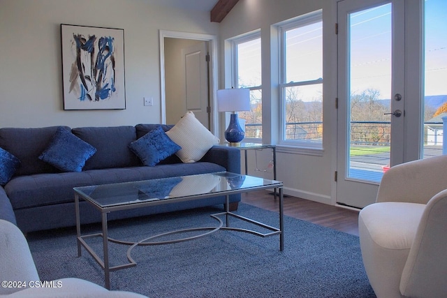 living room featuring hardwood / wood-style flooring and vaulted ceiling