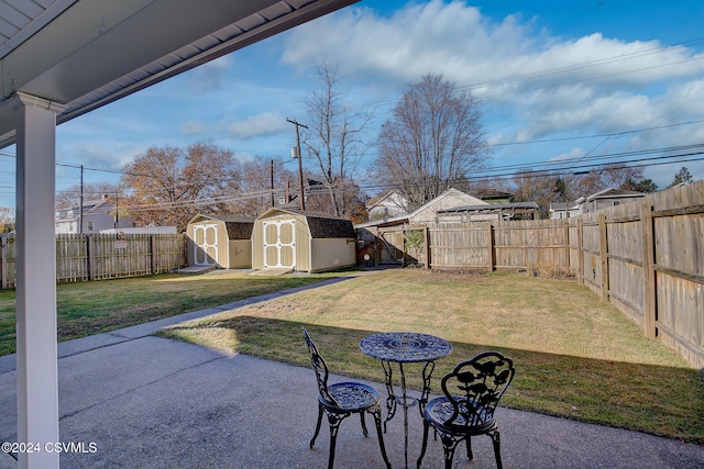 view of yard with a storage shed