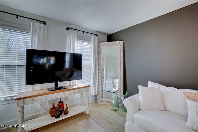 living room with light wood-type flooring