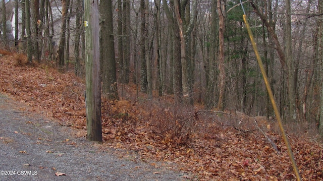122 Evergreen Ln, Catawissa, PA 17820 - photo 2