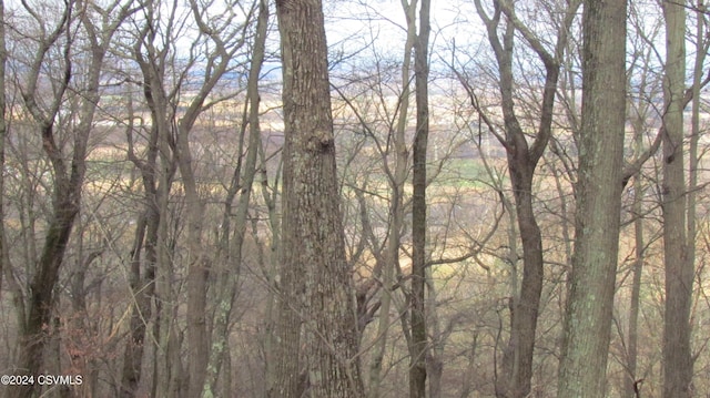 122 Evergreen Ln, Catawissa, PA 17820 - photo 4