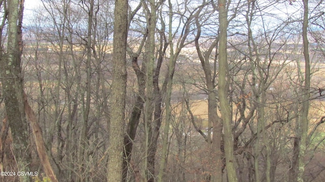 122 Evergreen Ln, Catawissa, PA 17820 - photo 5