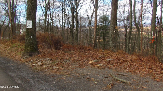 122 Evergreen Ln, Catawissa, PA 17820 - photo 3