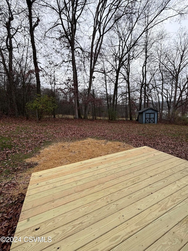 wooden deck with a storage unit