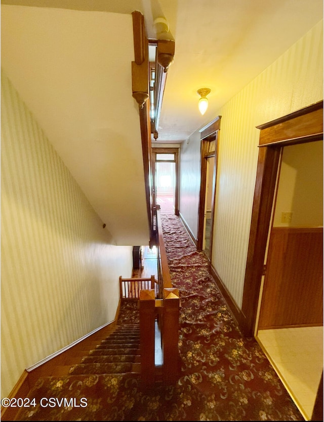 hallway featuring carpet floors