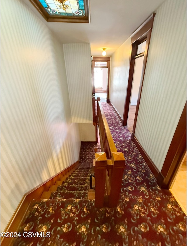 hall featuring carpet floors