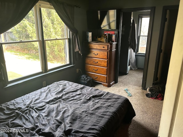 carpeted bedroom featuring multiple windows