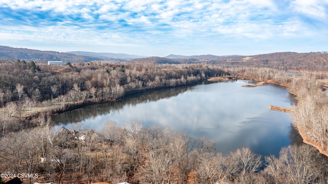 water view featuring a mountain view