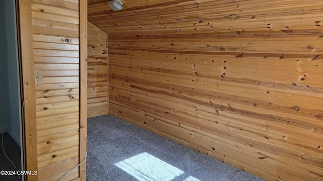 interior space with carpet, lofted ceiling, and wood walls