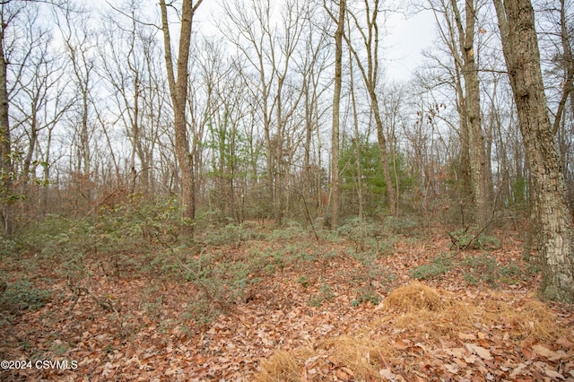 Hillside Rd, Millville, PA 17846 - photo 2