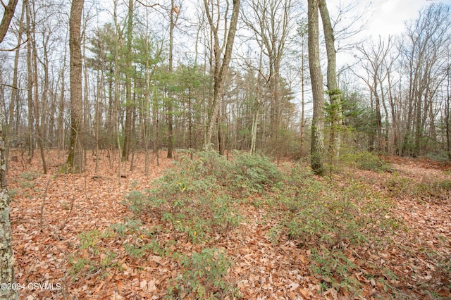 Hillside Rd, Millville, PA 17846 - photo 3