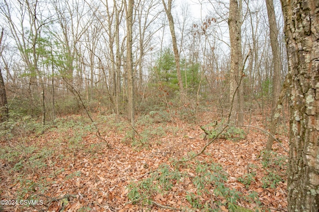 Hillside Rd, Millville, PA 17846 - photo 4