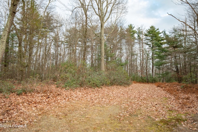 Hillside Rd, Millville, PA 17846 - photo 5