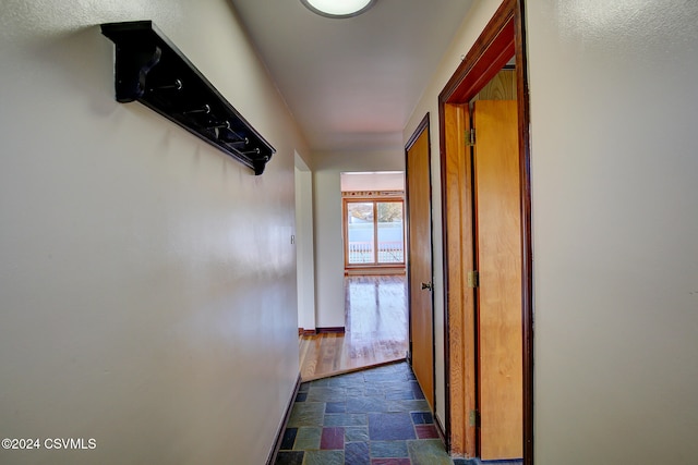 corridor with dark hardwood / wood-style floors