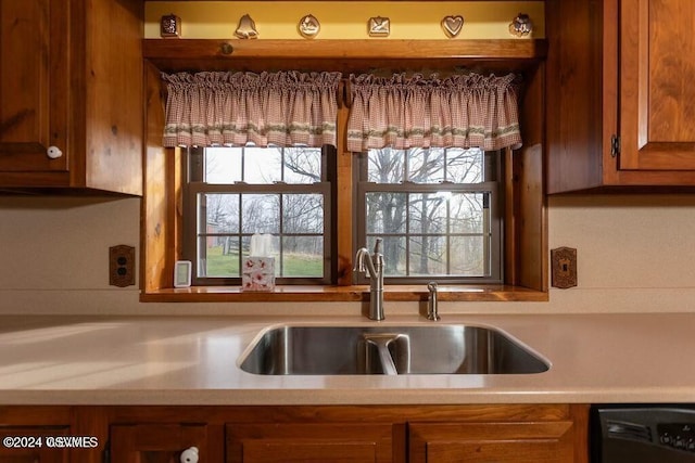 kitchen with dishwasher, a wealth of natural light, and sink