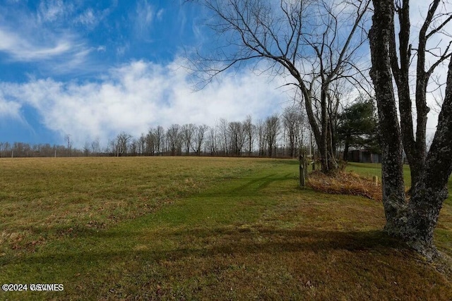 view of yard with a rural view