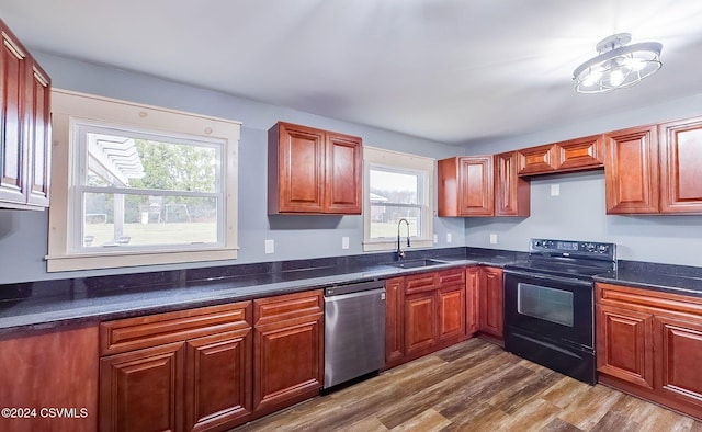 kitchen with black range with electric stovetop, a healthy amount of sunlight, sink, and stainless steel dishwasher