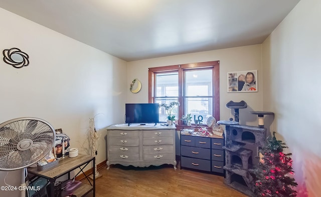 office space featuring light wood-type flooring