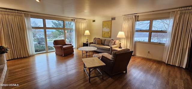 living room with wood-type flooring and plenty of natural light