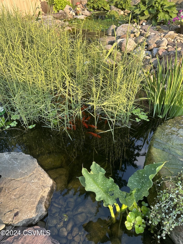 details with a garden pond