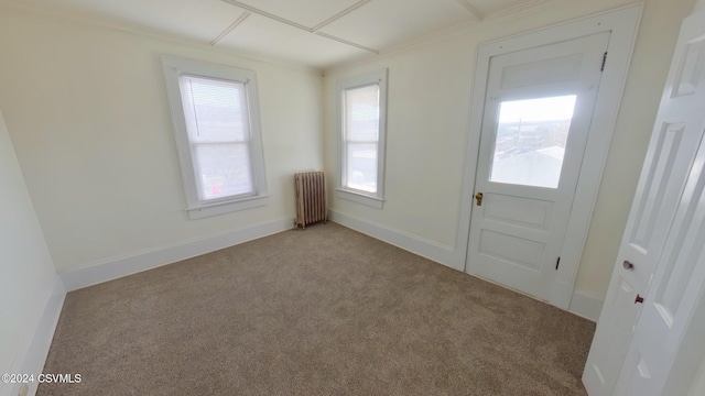 interior space featuring radiator and light colored carpet