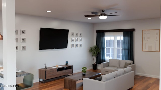 living room featuring ceiling fan and wood-type flooring