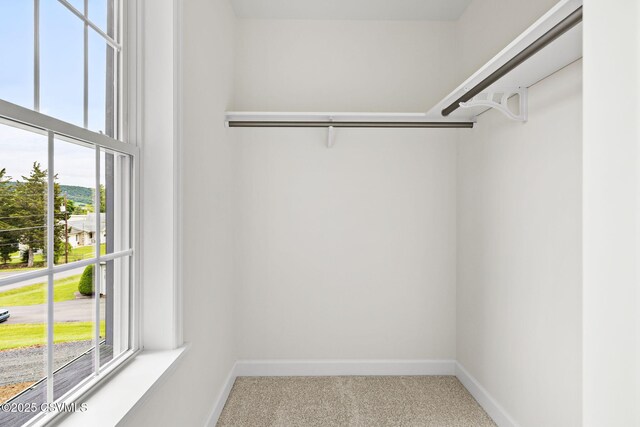 151 Hillside Ave, Elysburg, PA 17824 - spacious closet featuring carpet flooring