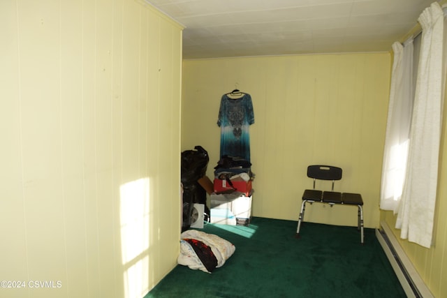 miscellaneous room with dark colored carpet, baseboard heating, and wood walls