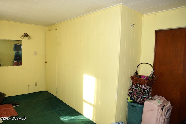 interior space featuring dark carpet and wood walls