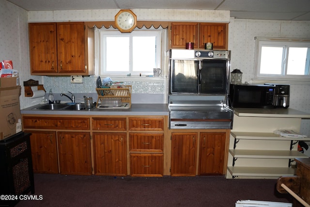 kitchen featuring dark carpet, sink, and multiple ovens