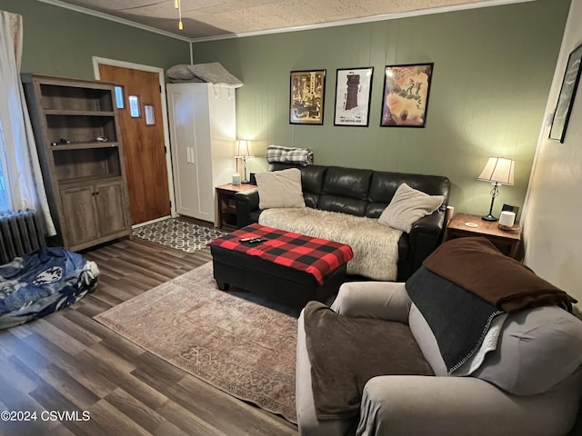 living room featuring dark wood-type flooring, radiator, crown molding, ceiling fan, and a textured ceiling