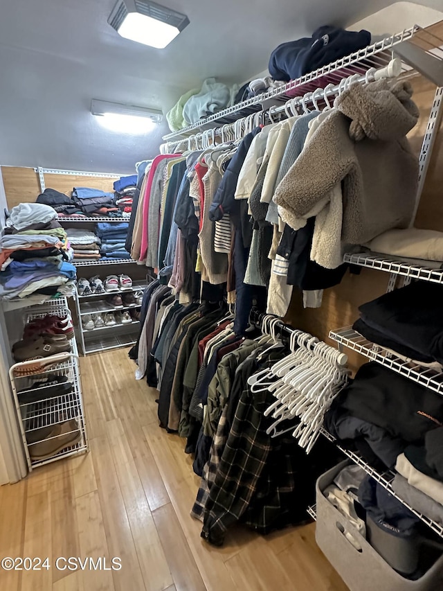 walk in closet with wood-type flooring