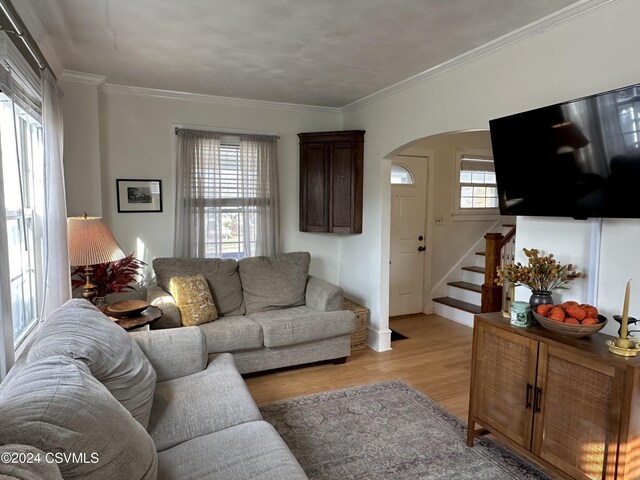 living room featuring light hardwood / wood-style floors, plenty of natural light, and crown molding